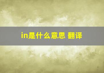 in是什么意思 翻译